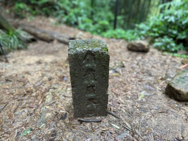 陡上陡下的溪頭鳳凰山1872928