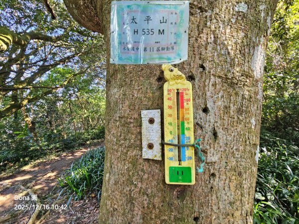 20251216太平山石門山小粗坑山O型+蕃薯藤TINA廚房2972581