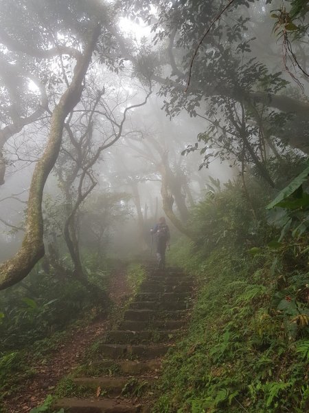 向天池山994242