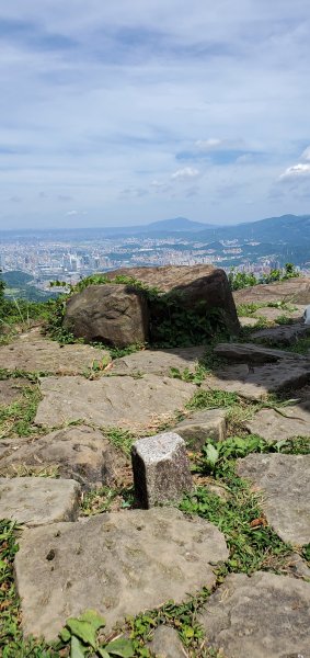 2020-06-21大尖山、四分尾山步道1385880