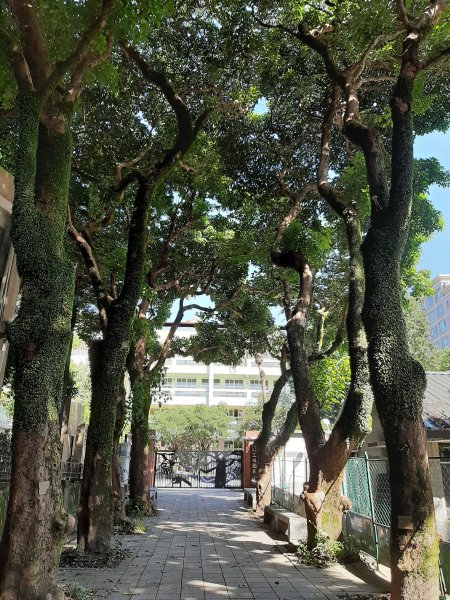 小百岳 No.19鳶山 6.基隆山1122540