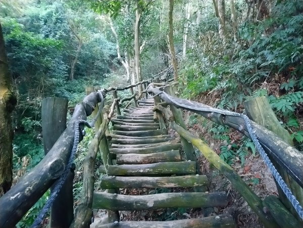 大坑步道全包一起登( 2 3維修)747633