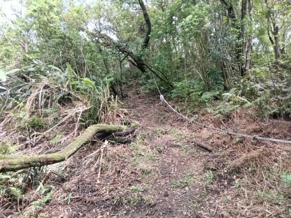 瑞芳區八分寮頂砲台+八分寮頂山+八分寮古道O型2772385