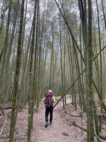 【忠の水社大山】~遠眺日月潭與群山-202302052063601