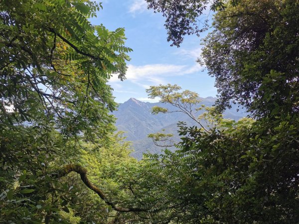 梨山希利克步道-泰雅族占卜靈鳥-繡眼畫眉1049489