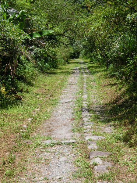 九寮溪自然步道374027