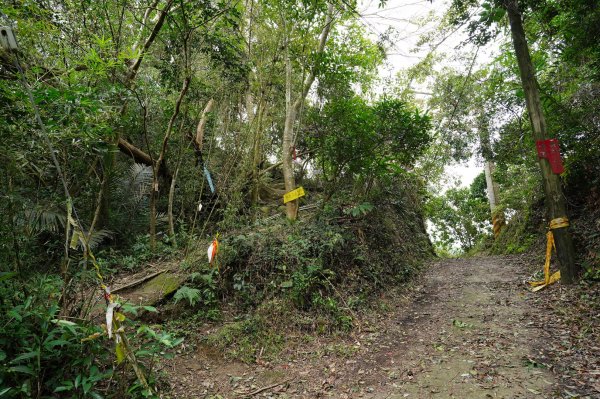 新竹 峨嵋 獅頭山、獅尾山、六寮山、猿山2450072