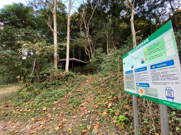 唐麻丹山-松鶴上三角點O型回松鶴2378409