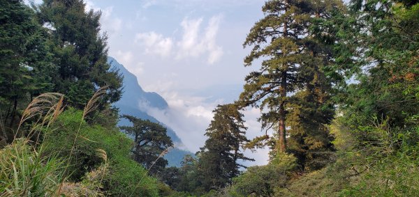 202414~15歷經2年抽籤終於蒞臨台灣最高峰玉山西、北、主峰2481869