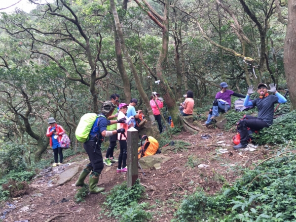 小觀音山群峰 105.11.2074917