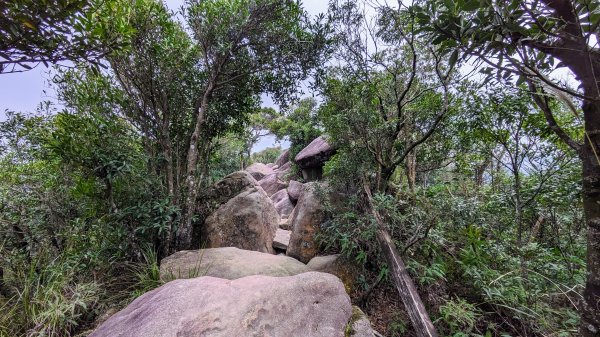 大湖山,牛稠湖山,石崁山,龍船岩2399517