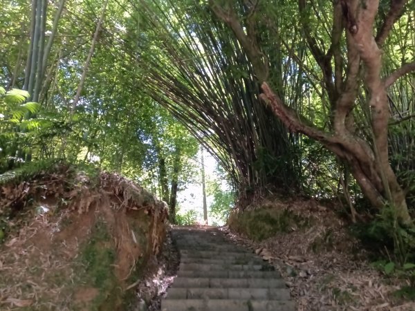 平溪區嶺腳步道+望古坑保甲路+嶺腳寮山+望古賞瀑步道(瀑布)+望古坑古道2825911