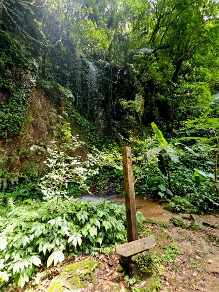 (二格山系)銀河洞越嶺-2025微笑山線大縱走尋寶集章任務2855224