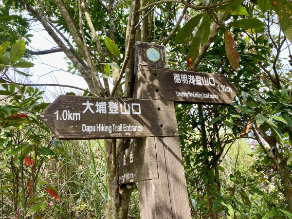 《中正山 × 紗帽山｜穿越北投古道與山林的一日縱走！》2935004