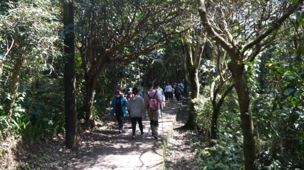 觀音山登山健行趣(小百岳05號)1632348