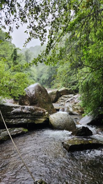 20230730 苗栗加里山午後雷陣雨篇（中級山小百岳）2235184