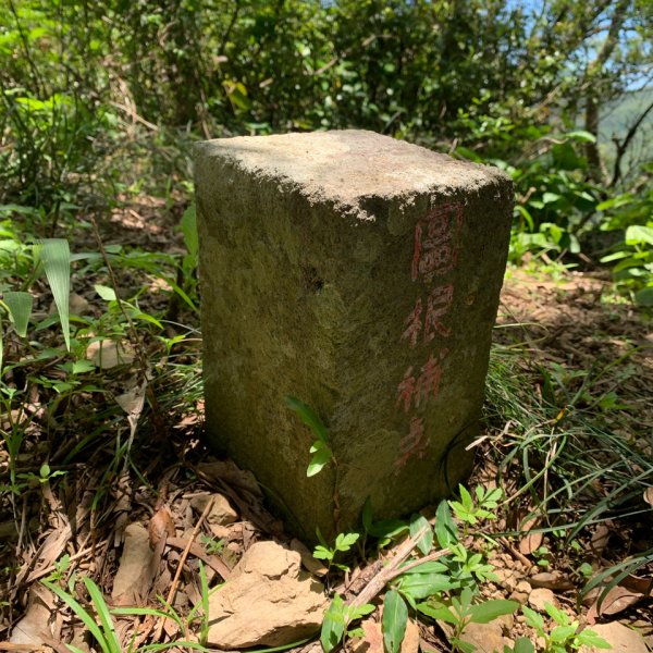 20250621屏東巴士墨山-草埔後山2821406