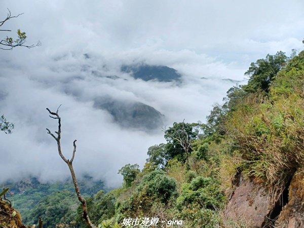 【南投。鹿谷】陡上陡下換美景相送。 小百岳集起來。 編號53小百岳溪頭鳳凰山步道1614357