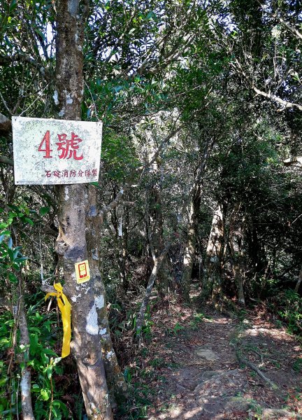 2022/08/27 石碇筆架山連峰，綠豆湯鞍部2001166