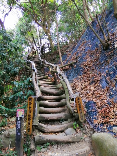 【台中。北屯】台灣百大必訪步道。 大坑四號步道1338774