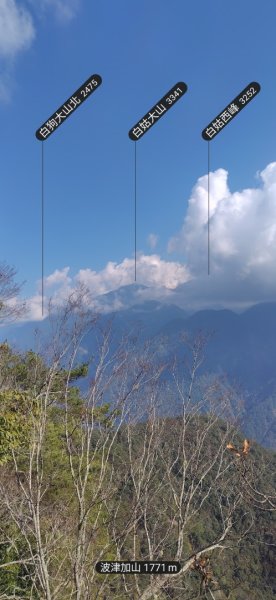 波津加山3002202