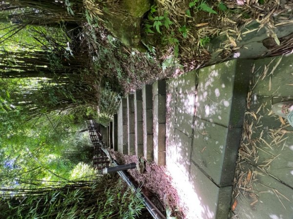 二訪硬漢嶺1745791