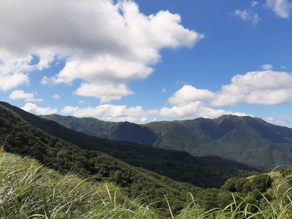 臺北大縱走3：擎天崗、頂山石梯嶺步道670033