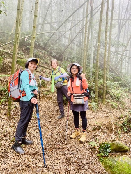 豹牙登山口上鳳凰山/小百岳#533069707