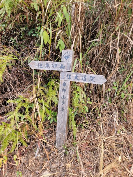 2026-0201-東卯山3013016