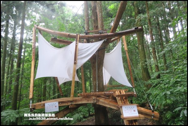 東眼山打卡新亮點森林裡的木構裝置藝術1021788