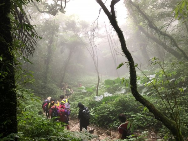 聖母登山步道+三角崙山1175790