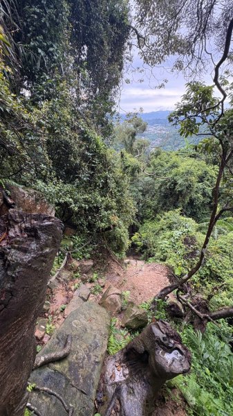 大雨後🙄2845408