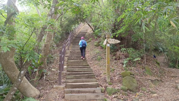 (姨婆趴趴走)第五十二集:新北新店攀登和美山及灣潭山2761097