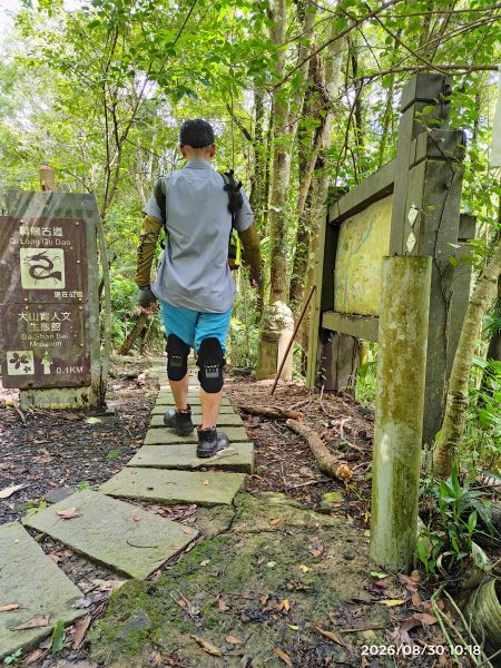 樟之細路騎龍古道