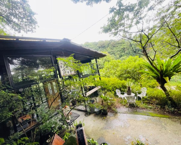 尋訪四國八十八番 石佛（藥師釋迦如來）觀音山石佛-弘法大師-水濂洞山-林安泰古宅2814363