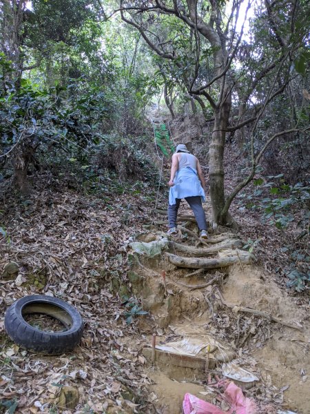 【高雄-小百岳】觀音山_稜線連峰O型縱走796542