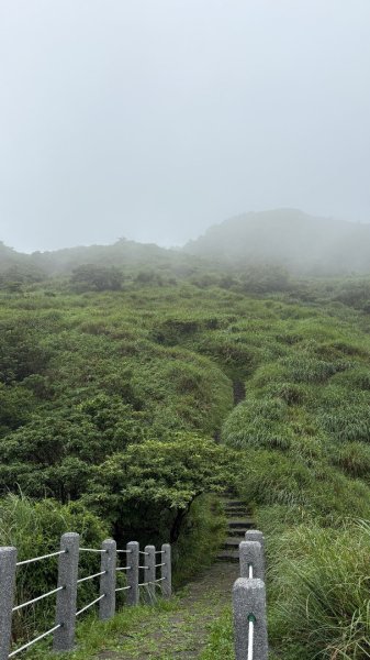 夢幻七星3074401