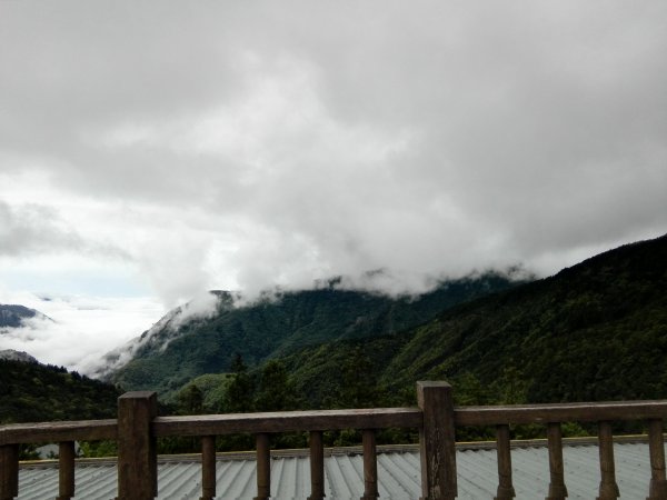 雲霧漫步山林之間~太平山466880