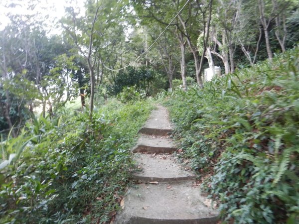 1070602小坪頂山3100115