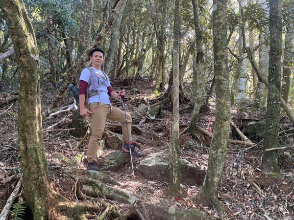 長壽山-醜崠山-鳶嘴山【既優雅又狂野的另類選擇】2673976