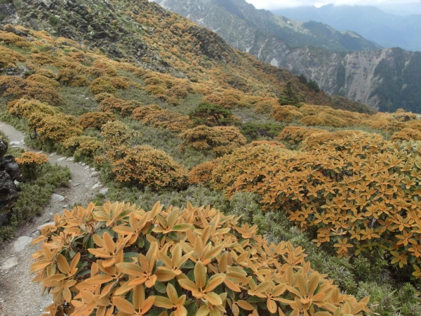 山岳之美-南湖大山7138