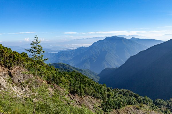 巒安堂上西巒大山1860184