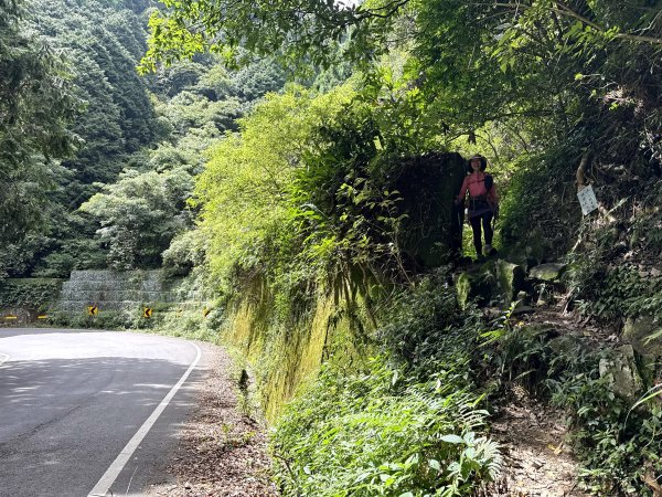 鳶嘴山+稍來神木 202508302873915