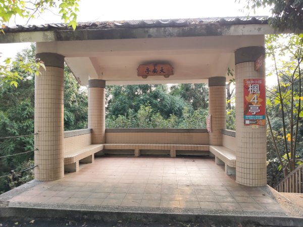 東勢林場森林浴場步道3019122