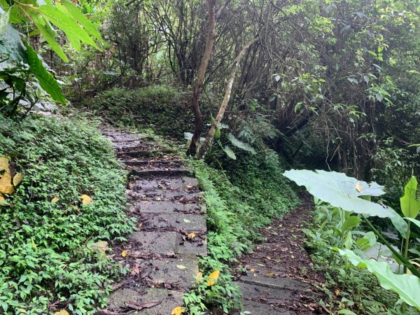 大崎棟古道、騎龍古道2772358