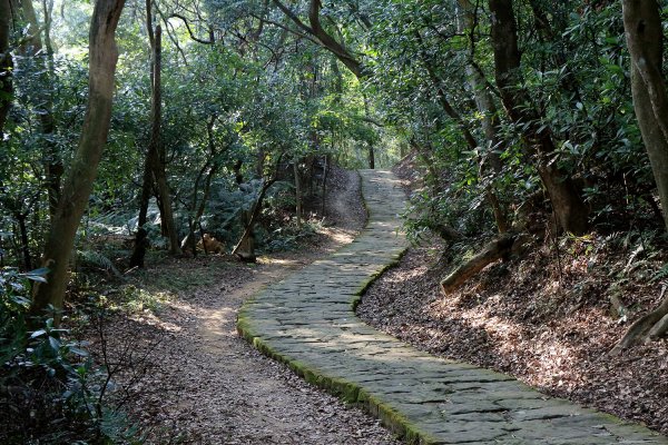 金面山。九蓮寺523761