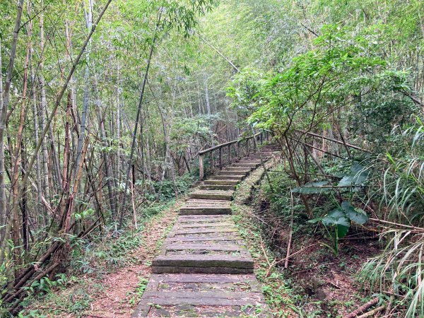 孝子路步道2624977