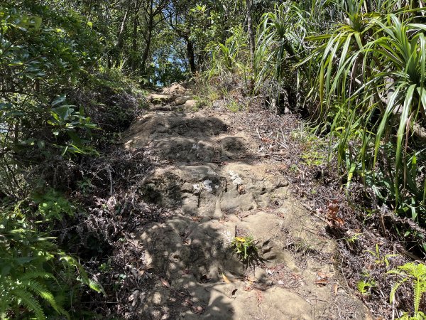 [微笑山線_第九段] 2025_0914 二格山系_天王峰2889632