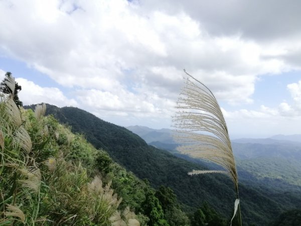 20201031登五分山賞芒花之旅1150328