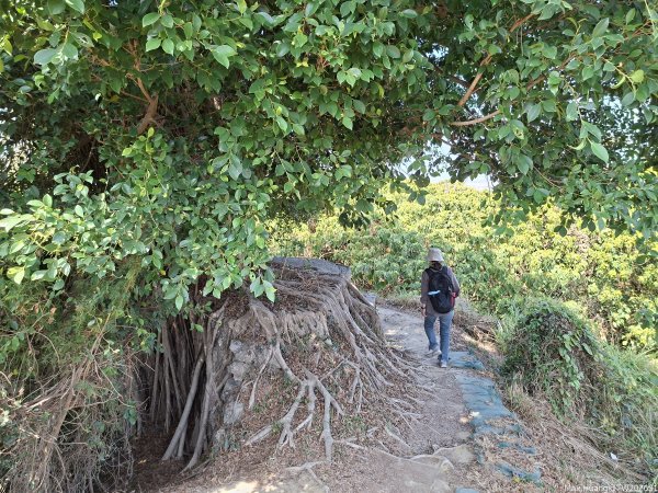 《高雄》泥岩惡地｜漯底山自然公園大O繞順訪永安、茄萣濕地202603133014672